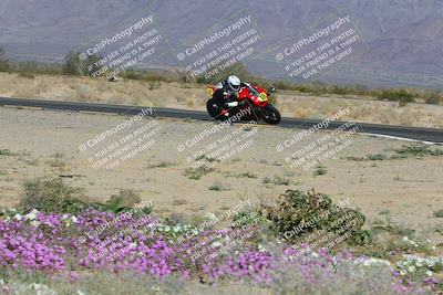 media/Feb-04-2023-SoCal Trackdays (Sat) [[8a776bf2c3]]/Turn 15 Inside Blooming (1050am)/